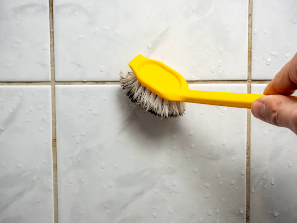 Best Residential Mold Removal  in , CA