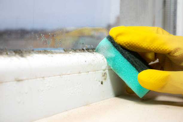 Best Mold Testing  in , CA