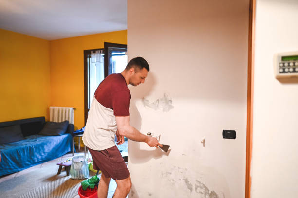 Best Certified Mold Removal  in , CA